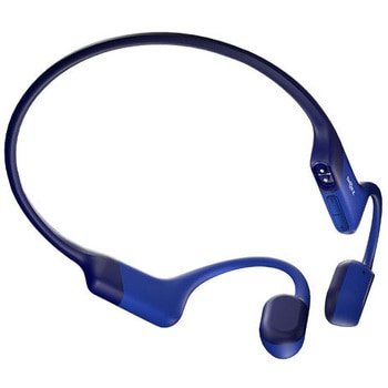 OpenRun Shokz