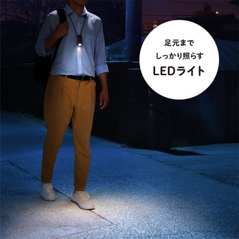 ポタラ キングジム