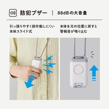 ポタラ キングジム