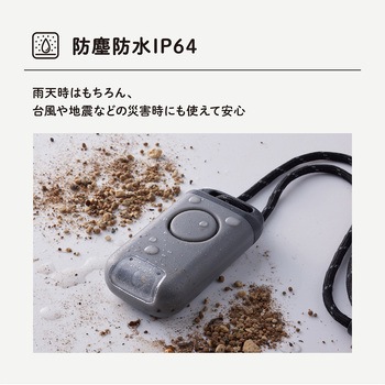 ポタラ キングジム