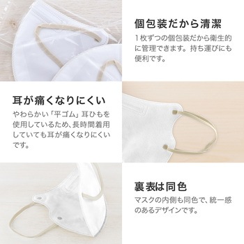 不織布マスク 「W COLOR MASK」 3D キープフィット ふつうサイズ(個包装) 20枚入り プラスライフ