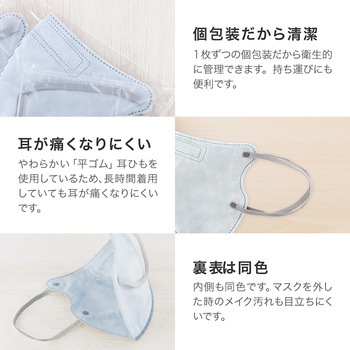 不織布マスク 「W COLOR MASK」 3D キープフィット ふつうサイズ(個包装) 20枚入り プラスライフ