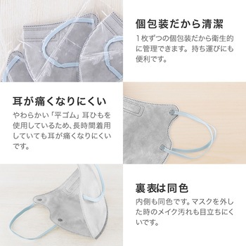 不織布マスク 「W COLOR MASK」 3D キープフィット ふつうサイズ(個包装) 20枚入り プラスライフ