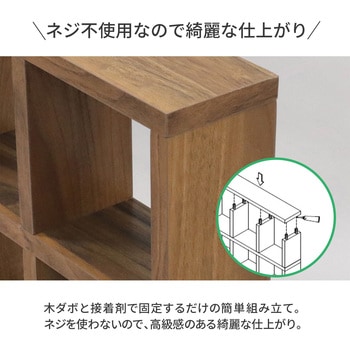 ミニレク3×2 WLNT AIS (エイ・アイ・エス)