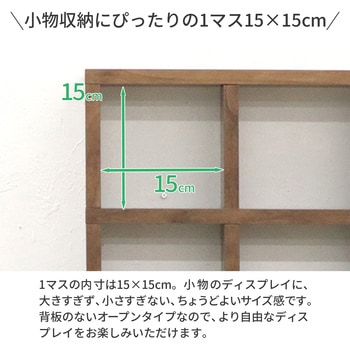 ミニレク3×3 WLNT AIS (エイ・アイ・エス)