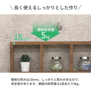 ミニレク3×3 WLNT AIS (エイ・アイ・エス)