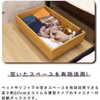 ベッド下収納BOX LBR AIS (エイ・アイ・エス)