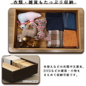 ベッド下収納BOX LBR AIS (エイ・アイ・エス)