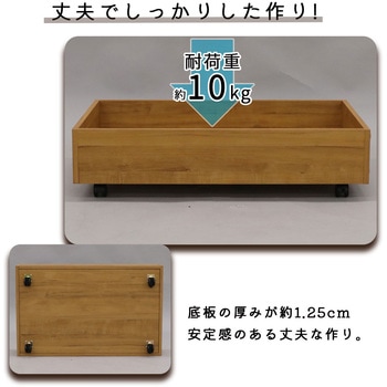 ベッド下収納BOX LBR AIS (エイ・アイ・エス)
