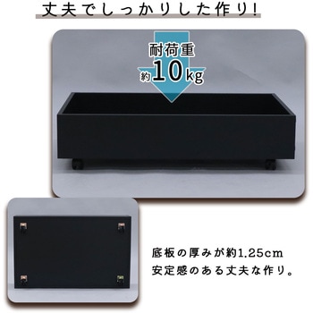 ベッド下収納BOX BK AIS (エイ・アイ・エス)