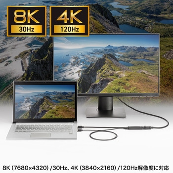 変換アダプタ_HDMI-DisplayPort サンワサプライ