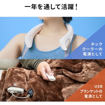 モバイルバッテリー_4000mAh サンワサプライ
