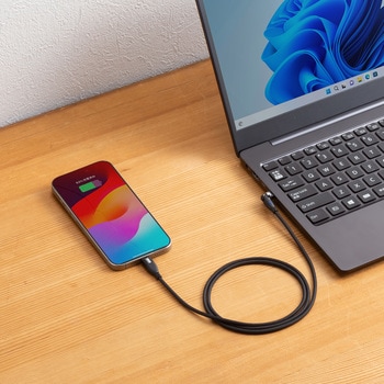 USBTypeCケーブル_USB2.0_回転 サンワサプライ