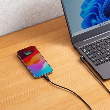 USBTypeCケーブル_USB2.0_回転 サンワサプライ
