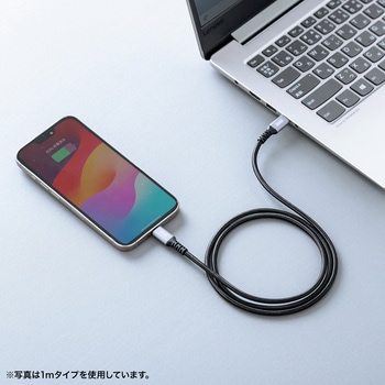 USBTypeCケーブル_USB2.0 サンワサプライ