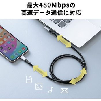 USBTypeCケーブル_USB2.0 サンワサプライ