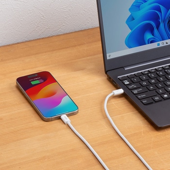 USBTypeCケーブル_USB2.0_シリコンメッシュ サンワサプライ