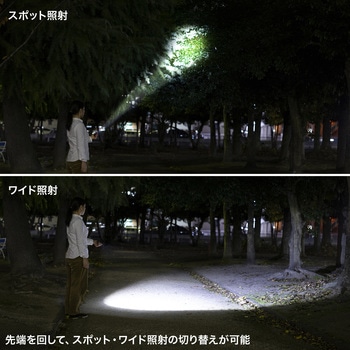 LEDライト_ペン型 サンワサプライ