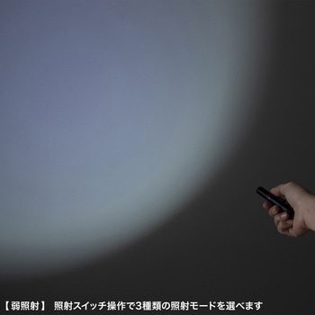 LEDライト_ペン型 サンワサプライ
