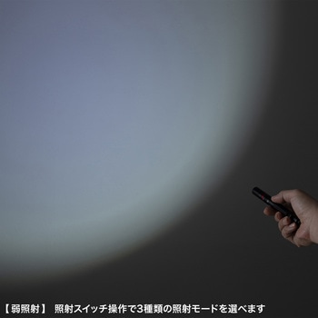 LEDライト_ペン型 サンワサプライ