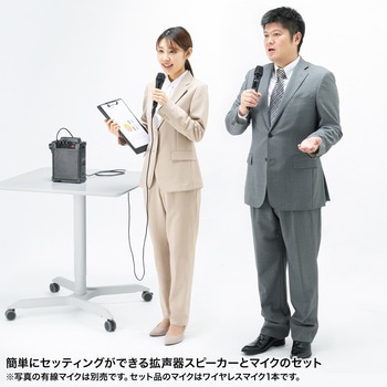 拡声器スピーカー_ワイヤレス サンワサプライ