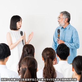 拡声器スピーカー_ワイヤレス サンワサプライ