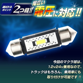 マクラ球 T8×28mm T10×31mm 36mm 39mm 41mm 12v/24v兼用 竹村商会