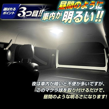 マクラ球 T8×28mm T10×31mm 36mm 39mm 41mm 12v/24v兼用 竹村商会