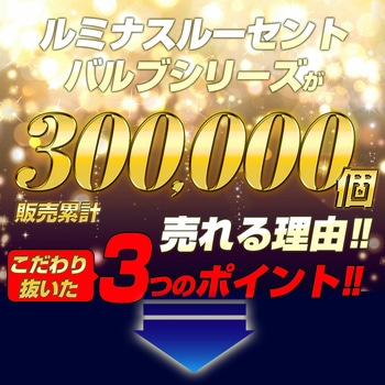 ルミナスルーセントバルブ ポジション球 T10 12v/24v兼用 竹村商会