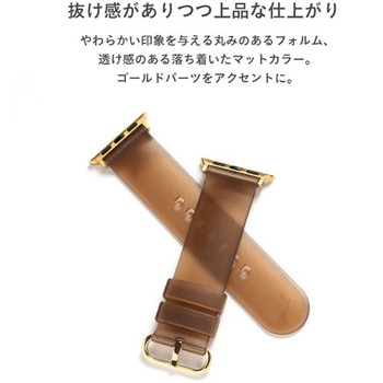 [Apple Watch Series 9/SE/8/7/6/5/4/3/2/1(38-41mm)専用]salistyクリアカラーバンド - salisty