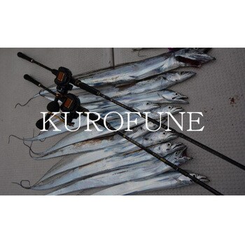 ー 黒船 PH パワーハンドル AbuGarcia(アブガルシア) 自重210g