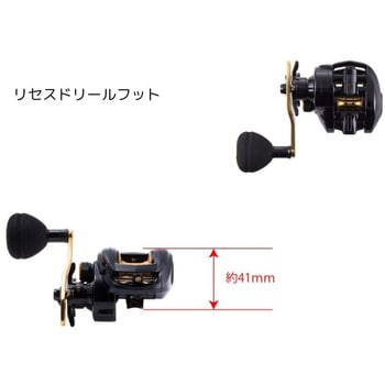 楽天市場】【SALE！20%OFF】【土日祝も発送】アクシーズクイン
