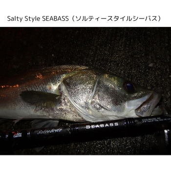 Salty Style SEABASS(ソルティースタイルシーバス) AbuGarcia(アブガルシア)