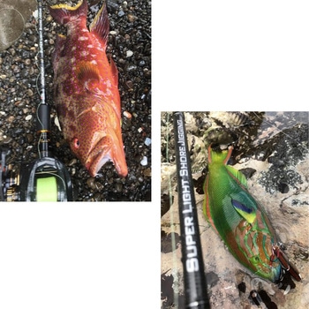 Salty Style SuperLightShoreJigging (ソルティスタイル スーパーライトショアジギング) AbuGarcia(アブガルシア)