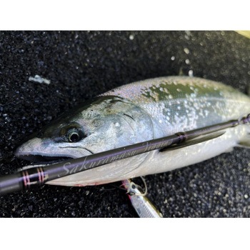 NORTHFIELD Sakuramasu Jigging(ノースフィールド サクラマスジギング) AbuGarcia(アブガルシア)