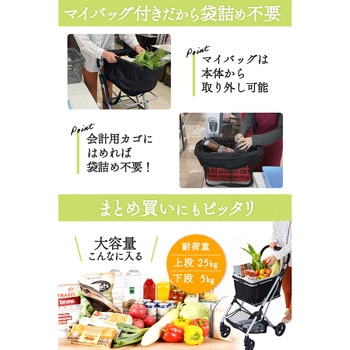 EC41 EcoCa(エコカ) 1個 プライムダイレクト 【通販モノタロウ】