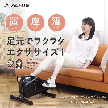 Bluetooth搭載 エアロマグネティックミニバイク アルインコ