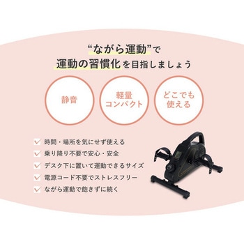 Bluetooth搭載 エアロマグネティックミニバイク アルインコ