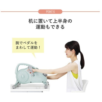 Bluetooth搭載 エアロマグネティックミニバイク アルインコ