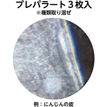 木製顕微鏡クラフトキット アーテック