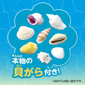 ジェルキャンドルでつくる 手作り海キャンドル アーテック