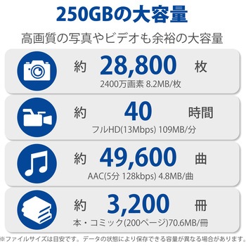 SSD 外付け 250GB USB3.2 Gen2 読出最大1000MB/秒 スライド式 ノック式 高速 耐衝撃 超小型 軽量 エレコム