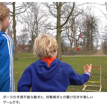 BSラダーゲーム ボールゲーム 木のおもちゃ (6歳から) ダッドウェイ