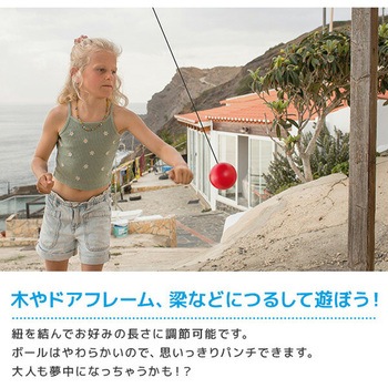 BSパンチングボール 木のおもちゃ (6歳から) 直径9cm ダッドウェイ