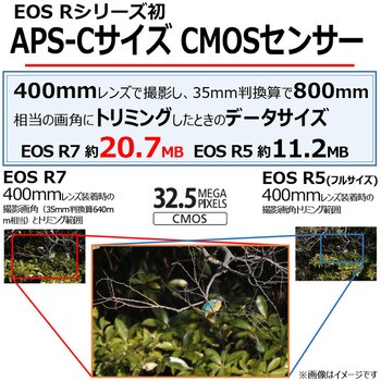 ミラーレスカメラ EOS R7 Canon