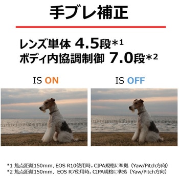 RFレンズ RF-S18-150mm F3.5-6.3 IS STM Canon