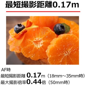 RFレンズ RF-S18-150mm F3.5-6.3 IS STM Canon