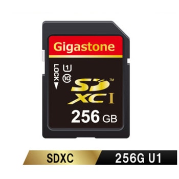 SDカード 256GB SDXC規格 Class10 スペック FullHD写真対応 Gigastone