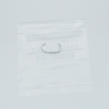 (84485)ホグリング - ニッサン