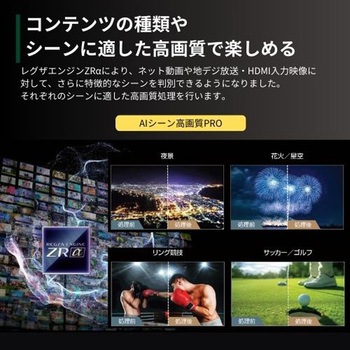 4K有機ELテレビ タイムシフトマシン搭載 X9900Nシリーズ REGZA